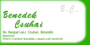 benedek csuhai business card